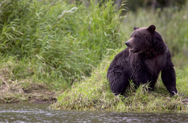 Screenshot 2025-11-21 151045